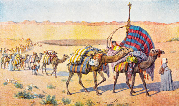 Shipping & Installation