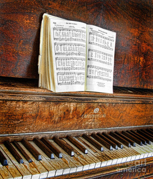 Musical Instrument 19